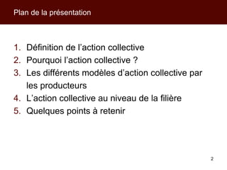 Modèles d’action collective pour les producteurs et leurs filières de commercialisation