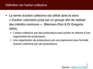 Modèles d’action collective pour les producteurs et leurs filières de commercialisation