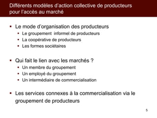 Modèles d’action collective pour les producteurs et leurs filières de commercialisation