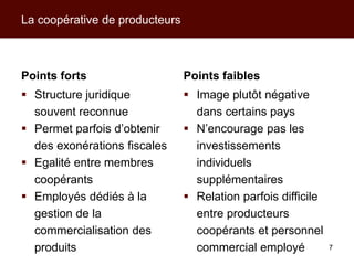 Modèles d’action collective pour les producteurs et leurs filières de commercialisation