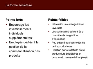 Modèles d’action collective pour les producteurs et leurs filières de commercialisation