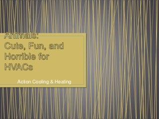 Action Cooling & Heating
 