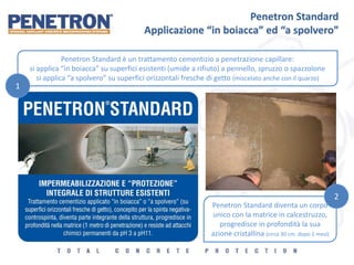 Penetron Standard
Applicazione “in boiacca” ed “a spolvero”
Penetron Standard è un trattamento cementizio a penetrazione capillare:
si applica “in boiacca” su superfici esistenti (umide a rifiuto) a pennello, spruzzo o spazzolone
si applica “a spolvero” su superfici orizzontali fresche di getto (miscelato anche con il quarzo)
Penetron Standard diventa un corpo
unico con la matrice in calcestruzzo,
progredisce in profondità la sua
azione cristallina (circa 30 cm. dopo 2 mesi)
1
2
 