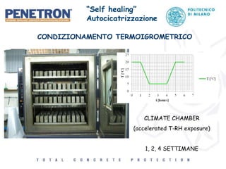CONDIZIONAMENTO TERMOIGROMETRICO
CLIMATE CHAMBER
(accelerated T-RH exposure)
1, 2, 4 SETTIMANE
“Self healing”
Autocicatrizzazione
 