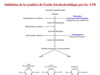 Action Des Atb1 | PPT