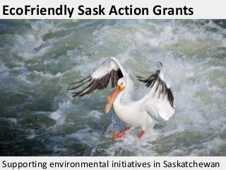 EcoFriendly Sask Action Grants

Supporting environmental initiatives in Saskatchewan

 