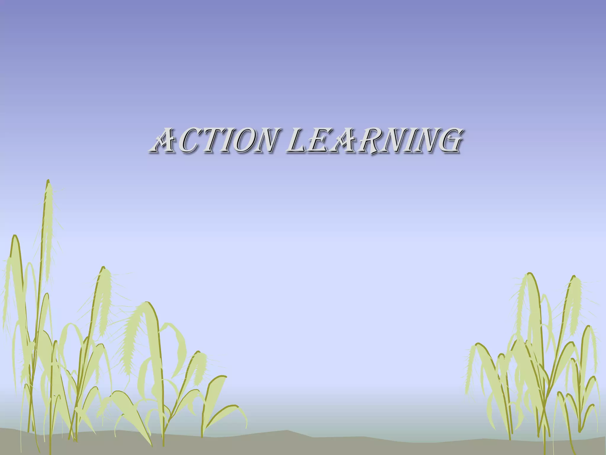 Action Learning

 