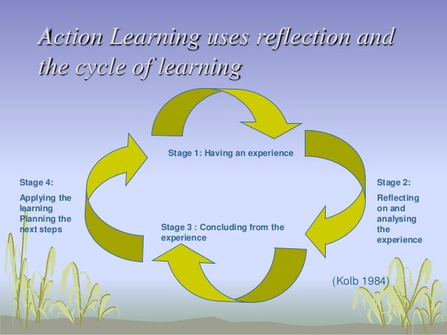 Action learning approach