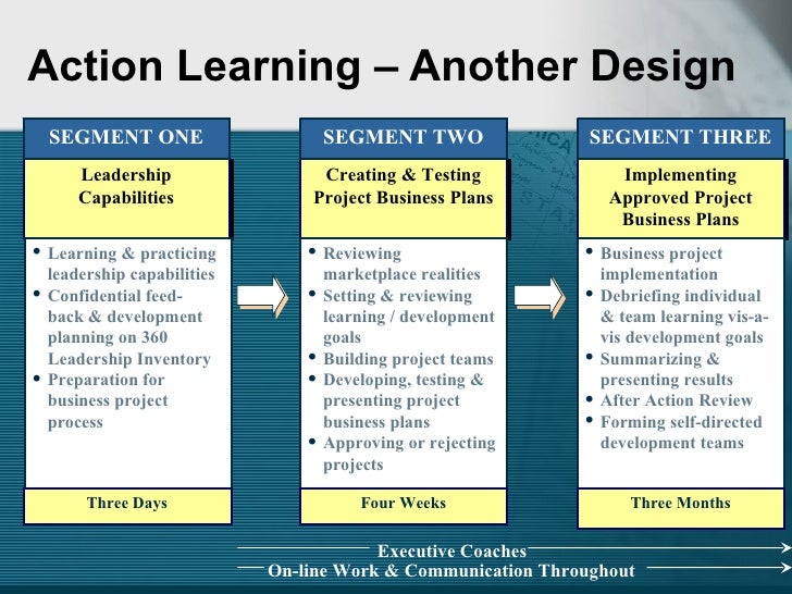 Action learning briefing (1)