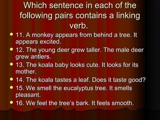 Which sentence in each of theWhich sentence in each of the
following pairs contains a linkingfollowing pairs contains a linking
verb.verb.
 11. A monkey appears from behind a tree. It11. A monkey appears from behind a tree. It
appears excited.appears excited.
 12. The young deer grew taller. The male deer12. The young deer grew taller. The male deer
grew antlers.grew antlers.
 13. The koala baby looks cute. It looks for its13. The koala baby looks cute. It looks for its
mother.mother.
 14. The koala tastes a leaf. Does it taste good?14. The koala tastes a leaf. Does it taste good?
 15. We smell the eucalyptus tree. It smells15. We smell the eucalyptus tree. It smells
pleasant.pleasant.
 16. We feel the tree’s bark. It feels smooth.16. We feel the tree’s bark. It feels smooth.
 
