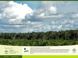 Action on zero deforestation pledges the challenge of aligning public and private sustainability goals