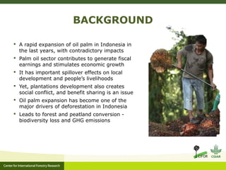 BACKGROUND
 A rapid expansion of oil palm in Indonesia in
the last years, with contradictory impacts
 Palm oil sector co...