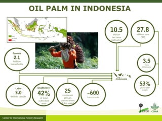 Action on zero deforestation pledges the challenge of aligning public and private sustainability goals