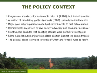 Action on zero deforestation pledges the challenge of aligning public and private sustainability goals