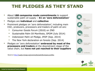 Action on zero deforestation pledges the challenge of aligning public and private sustainability goals