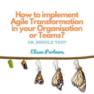 Elisan Partners
How to implement
Agile Transformation
in your Organisation
or Teams?
OR...SHOULD YOU?
 