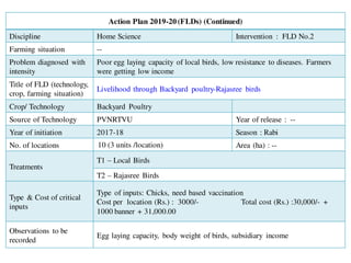 Action Plan 2019-20 (FLDs) (Continued)
Discipline Home Science Intervention : FLD No.2
Farming situation --
Problem diagnosed with
intensity
Poor egg laying capacity of local birds, low resistance to diseases. Farmers
were getting low income
Title of FLD (technology,
crop, farming situation)
Livelihood through Backyard poultry-Rajasree birds
Crop/ Technology Backyard Poultry
Source of Technology PVNRTVU Year of release : --
Year of initiation 2017-18 Season : Rabi
No. of locations 10 (3 units /location) Area (ha) : --
Treatments
T1 – Local Birds
T2 – Rajasree Birds
Type & Cost of critical
inputs
Type of inputs: Chicks, need based vaccination
Cost per location (Rs.) : 3000/- Total cost (Rs.) :30,000/- +
1000 banner + 31,000.00
Observations to be
recorded
Egg laying capacity, body weight of birds, subsidiary income
 