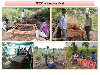 ZECC at Farmers Field
 