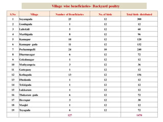 S.No Village Number of Beneficiaries No. of birds Total birds distributed
1 Soyamguda 25 12 300
2 Gonduguda 1 12 12
3 Laltekidi 5 12 60
4 Marthiguda 8 12 96
5 Kannapur 10 12 120
6 Kannapur guda 11 12 132
7 Pochammpalli 24 10 240
8 Dharmasagar 6 12 72
9 Gokulunagar 1 12 12
10 Muthyampeta 3 12 36
11 Gattepany 1 12 12
12 Kothaguda 13 12 156
13 Dhodanda 1 12 12
14 Tekkiguda 1 12 12
15 Lakkaram 1 12 12
16 Thukaram guda 6 12 72
17 Heerapur 3 12 30
18 Manjiri 1 12 12
19 Toyaguda 6 12 72
127 1470
Village wise beneficiaries- Backyard poultry
 