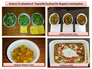 Sensory Evaluationof VegetableSoybean for Regularconsumption
Soybean Tomato Curry Soybean Cutlet
Soybean Fried Curry
 