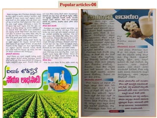 Populararticles-06
 