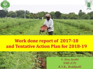 Work done report of 2017-18
and Tentative Action Plan for 2018-19
V. Siva Jyothi
SMS (CP)
K.V.K., Reddipalli
 