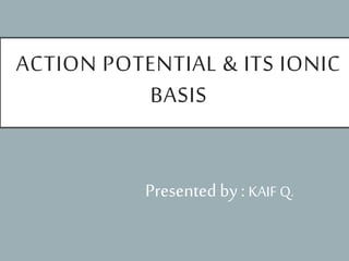 ACTION POTENTIAL & ITS IONIC
BASIS
Presented by : KAIF Q.
 