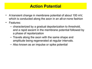 Action Potential
• A transient change in membrane potential of about 100 mV,
which is conducted along the axon in an all-or-none fashion
• Features:
– characterized by a gradual depolarization to threshold,
and a rapid ascent in the membrane potential followed by
a phase of repolarization
– Travels along the axon with the same shape and
amplitude being regenerated at regular intervals.
– Also known as an impulse or spike potential
 