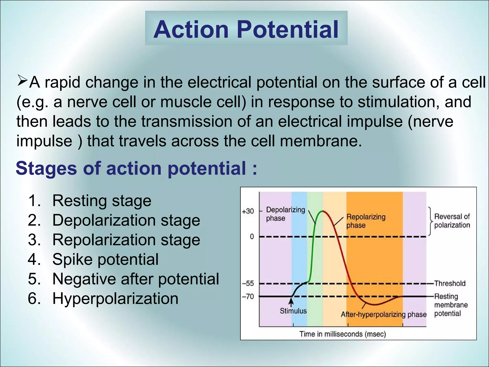 Action Potential
A rapid change in the electrical potential on the surface of a cell
(e.g. a nerve cell or muscle cell) in response to stimulation, and
then leads to the transmission of an electrical impulse (nerve
impulse ) that travels across the cell membrane.
Stages of action potential :
1. Resting stage
2. Depolarization stage
3. Repolarization stage
4. Spike potential
5. Negative after potential
6. Hyperpolarization