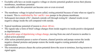 • Excitable cells have an inside negative voltage or electric potential gradient across their plasma
membranes, membrane potential.
• In excitable cells this potential can become zero or even reversed.
• The membrane voltage in typical neuron called, resting potential because of state when no signal is
in transit. This is established by Na+ and K+ ions pumps in the plasma membrane.
• Subsequent movement of K+ channels outside cell through resting K+ channel results in net
negative charge inside the cell compared with outside.
• Typical membrane potential of neuron is about -60 mv.
• The signals take a form of brief voltage changes from inside negative to inside positive designated
as depolarisation.
• A powerful surge of depolarising voltage change, moving from one end of neuron to another is
called action potential.
• After action potential passes a sector of neuron, channel proteins and pumps restore the inside
negative channel proteins and pumps restore the inside negative resting potential called
repolarisation.
• The restoration process chases the action potential down the axon to terminus, leaving neuron to
signal again.
 