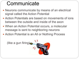 Action potential | PPTX