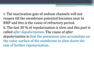 5. The inactivation gate of sodium channels will not
reopen till the membrane potential becomes near to
RMP and this is the cause of refractory period.
6. The last 30 % of repolarization is slow and this part is
called after depolarization. The cause of after
depolarization is that the potassium ions accumulate on
the outer surface of the membrane to slow down the
rate of further repolarization.
 