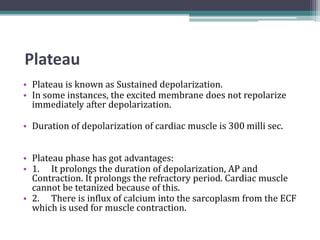 Plateau
• Plateau is known as Sustained depolarization.
• In some instances, the excited membrane does not repolarize
immediately after depolarization.
• Duration of depolarization of cardiac muscle is 300 milli sec.
• Plateau phase has got advantages:
• 1. It prolongs the duration of depolarization, AP and
Contraction. It prolongs the refractory period. Cardiac muscle
cannot be tetanized because of this.
• 2. There is influx of calcium into the sarcoplasm from the ECF
which is used for muscle contraction.
 