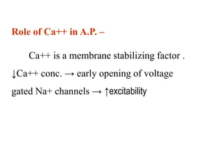 action_potential.ppt