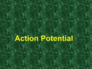 Action Potential
 