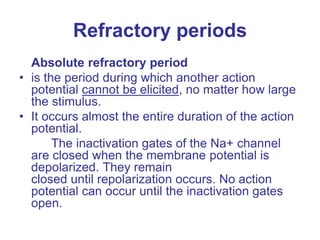 Refractory periods
Absolute refractory period
• is the period during which another action
potential cannot be elicited, no matter how large
the stimulus.
• It occurs almost the entire duration of the action
potential.
The inactivation gates of the Na+ channel
are closed when the membrane potential is
depolarized. They remain
closed until repolarization occurs. No action
potential can occur until the inactivation gates
open.
 