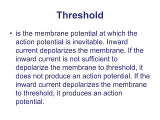 Threshold
• is the membrane potential at which the
action potential is inevitable. Inward
current depolarizes the membrane. If the
inward current is not sufficient to
depolarize the membrane to threshold, it
does not produce an action potential. If the
inward current depolarizes the membrane
to threshold, it produces an action
potential.
 