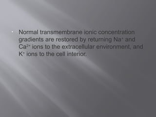 • Normal transmembrane ionic concentration
gradients are restored by returning Na+
and
Ca2+
ions to the extracellular environment, and
K+
ions to the cell interior.
 