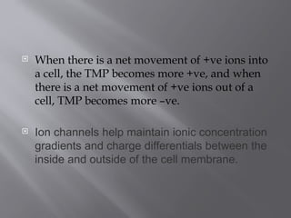  When there is a net movement of +ve ions into
a cell, the TMP becomes more +ve, and when
there is a net movement of +ve ions out of a
cell, TMP becomes more –ve.
 Ion channels help maintain ionic concentration
gradients and charge differentials between the
inside and outside of the cell membrane.
 