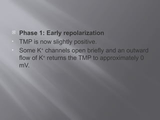  Phase 1: Early repolarization
• TMP is now slightly positive.
• Some K+
channels open briefly and an outward
flow of K+
returns the TMP to approximately 0
mV.
 