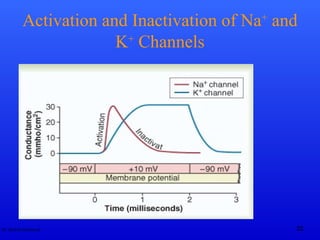 Dr. Rashid Mahmood 22
Activation and Inactivation of Na+
and
K+
Channels
 