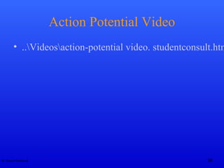 Dr. Rashid Mahmood
Action Potential Video
• ..Videosaction-potential video. studentconsult.htm
36
 