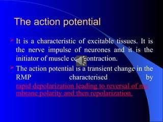 Understanding the Action Potential: Membrane Potential and Ion Channel ...