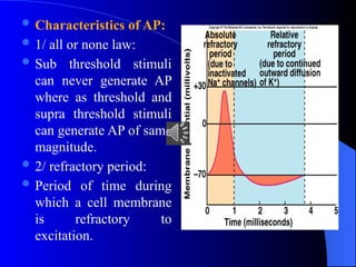 Understanding the Action Potential: Membrane Potential and Ion Channel ...