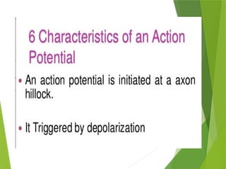 ACTION POTENTIAL and resting membrane potrntial phtysiology | PPTX