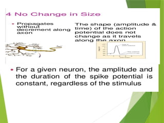 ACTION POTENTIAL and resting membrane potrntial phtysiology | PPTX