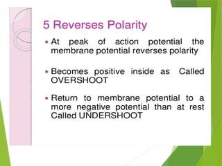 ACTION POTENTIAL and resting membrane potrntial phtysiology | PPTX