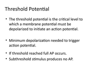 action potential of skeletal,cardiac,smooth muscles and nerve.pptx