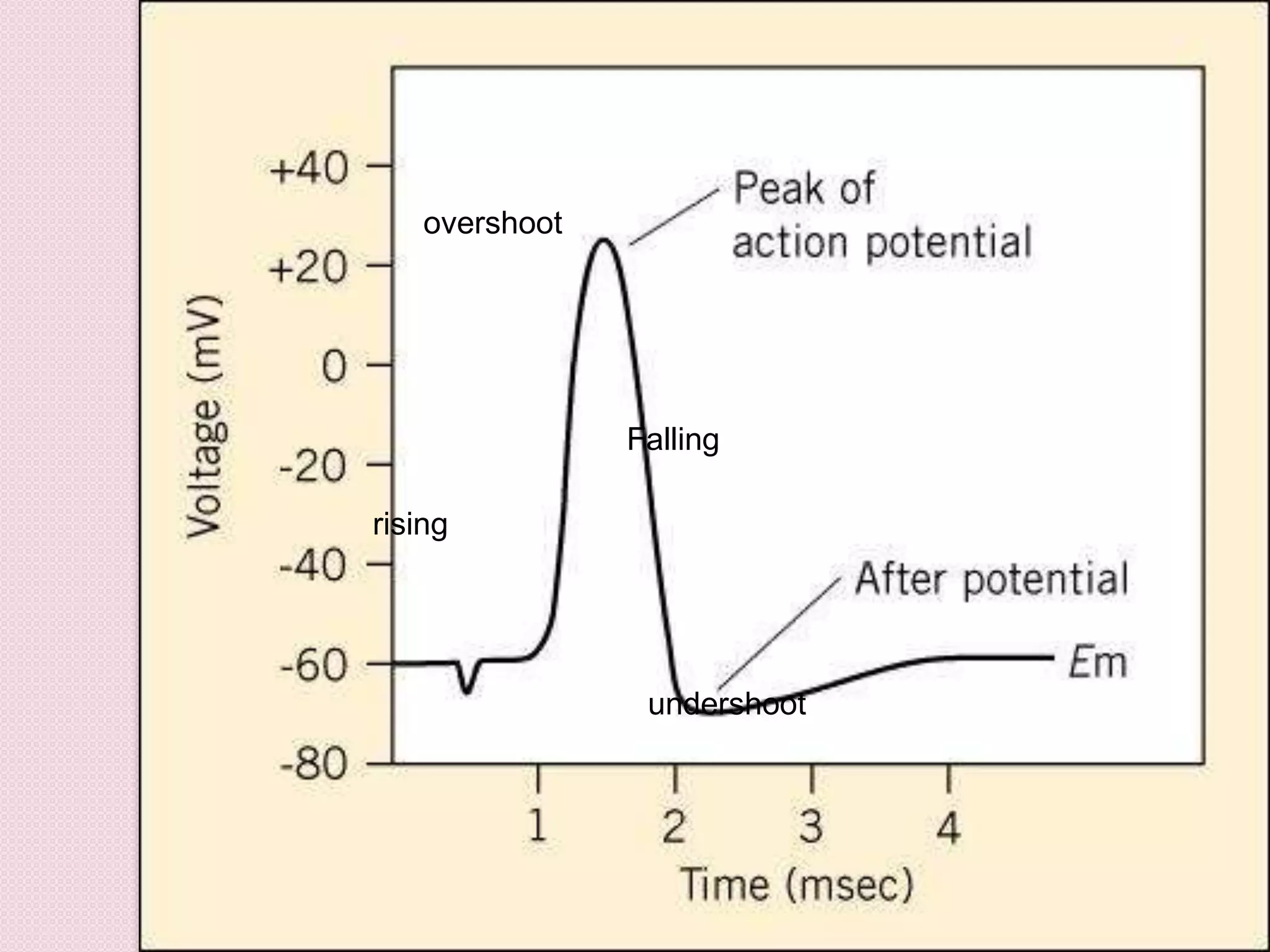overshoot 
rising 
Falling 
undershoot 
 