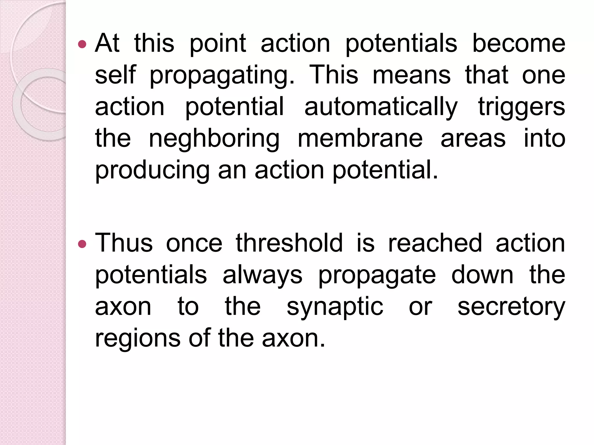  At this point action potentials become 
self propagating. This means that one 
action potential automatically triggers 
the neghboring membrane areas into 
producing an action potential. 
 Thus once threshold is reached action 
potentials always propagate down the 
axon to the synaptic or secretory 
regions of the axon. 
 